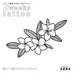 Item thumbnail for item 97b57e2c-7890-4bdb-ab8e-2d8550aa299e