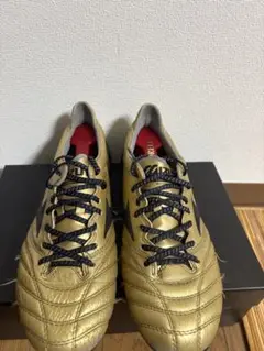 MORELIA neo2 25.5
