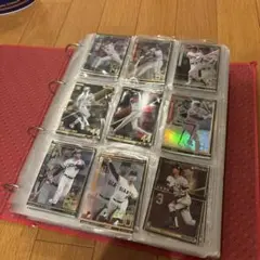 オーナーズリーグ セット売り