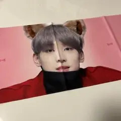 SEVENTEEN セブチ ウォヌ スローガン