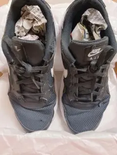 Item thumbnail for item f3b69d98-5c33-489e-ac38-c80c99e8985c