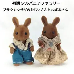 Item thumbnail for item 06f95644-d2cc-44d1-8faa-6acf943c78de