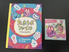 【新品未使用】たまラボファイル　ステッカー　セット※②