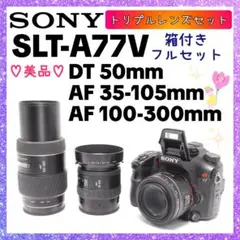 Item thumbnail for item 5be324a7-88f5-49fd-afb1-10f814ef48c0