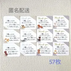 《サンキューカード57枚》手書き　サンクスカード