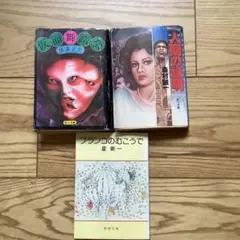 人間の証明 ・仮面舞踏会 ・プランコのむこうで 3冊セット