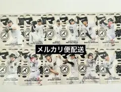 千葉ロッテマリーンズ 夏祭り カード 12枚セット