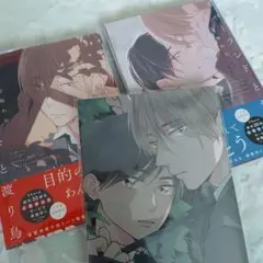 ネバーランドと渡り鳥　上下巻セット　アニメイト4Pリーフレット付き　青梅あお