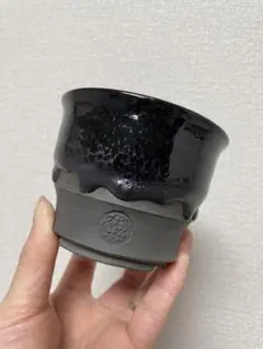 ryuhoo 鶴仙園 kokurin 鉢 spicy gem kikko srl