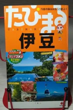 伊豆