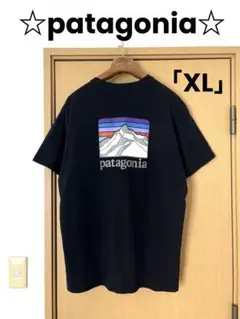 patagoniaパタゴニア☆半袖ポケットTシャツレスポンシビリーTシャツXL⑦