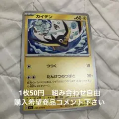 カイデン　在庫1 トリプ