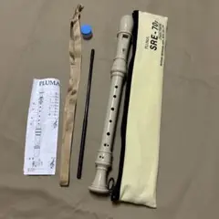Item thumbnail for item 7d54a884-977d-43e9-8246-342522ff15b9