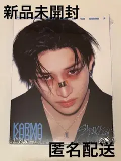 Straykids KARMA 新品未開封 アコーディオン盤 バンチャン