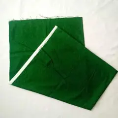 【匿名配送】BRIGHTON stoffabrics 緑 生地 綿100% 北欧