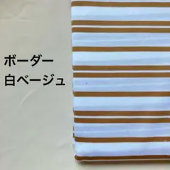 A-66■天竺ニット生地 白ベージュボーダー　1.5m
