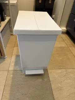 ホワイト ペダル式ごみ箱 ダブルリッド 45L