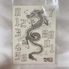 Item thumbnail for item 274c6c5c-7859-4204-b986-e88b84bf47d8