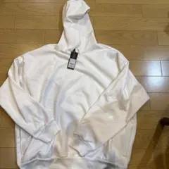 Item thumbnail for item 53f3bfa6-c861-46f8-a111-03c8cf9f85d1