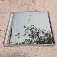 クリープハイプ 待ちくたびれて朝がくる