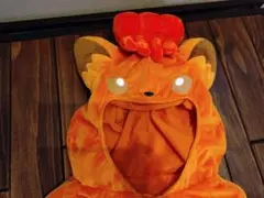 ポケモン ロコン着ぐるみ フード付き
