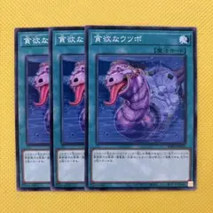 遊戯王 貪欲なウツボ 3枚セット WPP4 ワールドプレミアムパック2023