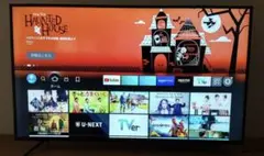 【ジャンク品】ジャパンネクスト JN-VT5000UHDR 50型4Kモニター