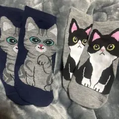 猫デザイン ソックス 2足セット ネコ　レディース