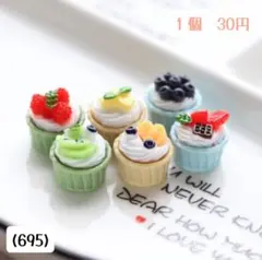 (695)カップケーキ　いちご　ラズベリー　ブルーベリー　オレンジ　キウイ