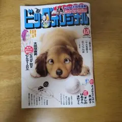 ビッグコミックオリジナル　最新号