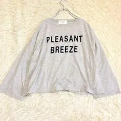 771 美品✨サマンサモスモスブルー ロンT 長袖カットソー ワイド ゆるだぼ