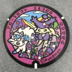 【匿名配送】【4-3】ポケふた　アローラロコン　エネコロロ　かみふらの　北海道