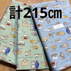 【特価】１組限り★コットンこばやし★箱入りにゃんこセット★②