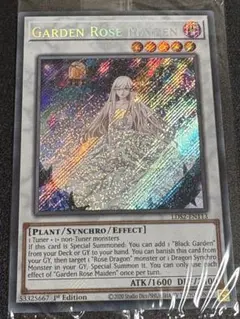 遊戯王 ガーデン・ローズ・メイデン　未開封