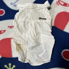 Item thumbnail for item 868cd0cd-2a78-40d9-acc1-7a02d75c2b00
