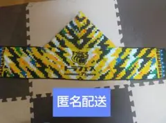 阪神タイガース トラフェス フード付きタオル クリアファイル付
