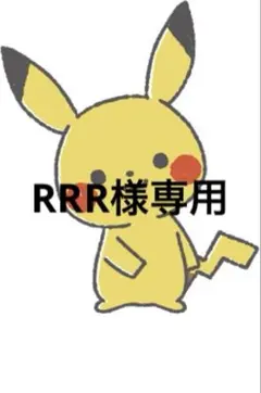 専用出品
