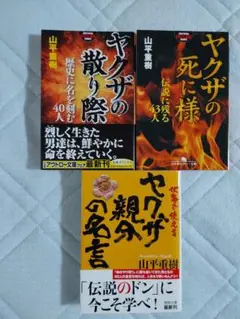 最終値下ヤクザの散り際　ヤクザの死に様　ヤクザ親分の名言　文庫３冊セット山平重樹