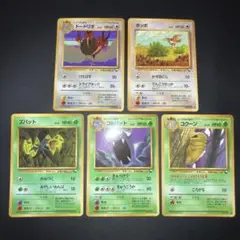 美品　旧裏　拡張シート　5枚　光沢あり