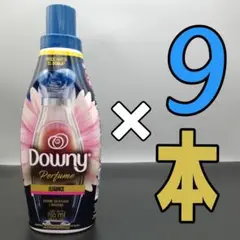 Item thumbnail for item 6ae6a6dc-3cae-4502-aa1f-624f9c463a67