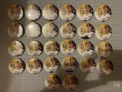 福岡ソフトバンクホークス 缶バッジセット 26個