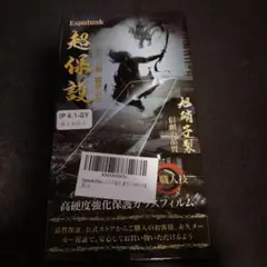 Espatunk IP 6.1-SY 高硬度保護フィルム