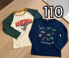 恐竜 長袖Tシャツ 110cm 2枚セット