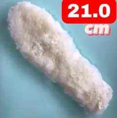 Item thumbnail for item f0c23627-9ce2-4c7b-8ec6-7541606a2983