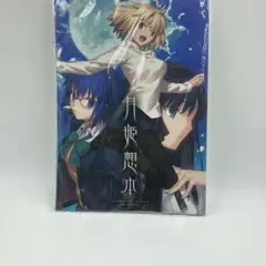 TYPE-MOON 月姫想本 C99クリアファイル4種セット　まとめ売り C99 コミケ TYPE-MOON 月姫想本 月姫クリアファイル(4種) セット