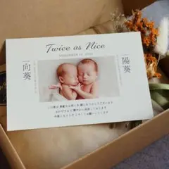 ★双子用5枚セット/厚手マーメイド紙/出産報告/内祝いカード/はがきサイズ