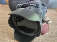 Item thumbnail for item f8176ca3-cbb0-45d6-9b03-d46ca99f9c77