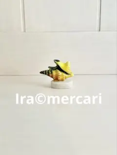 貝殻のフェーブ③フェーヴ　ミニチュア　陶器　フランス　海