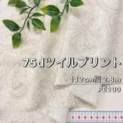 Item thumbnail for item 1f20cf2b-e4dc-4230-bada-496e42c4f11c