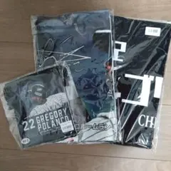 千葉ロッテマリーンズグッズ